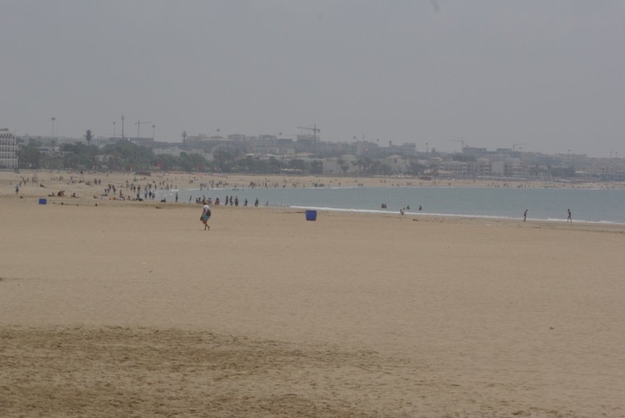 IMGP0878.jpg