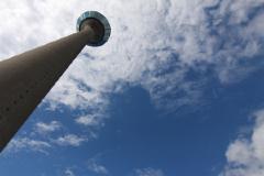 IMG_9219