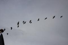 IMG_9305
