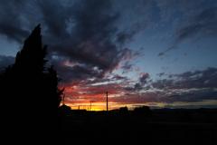 IMG_9887