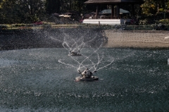 IMGP8519DxOweb